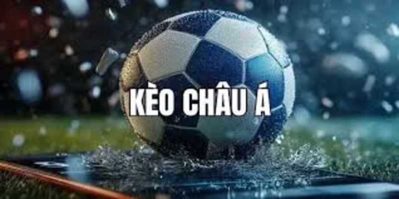 Các hình thức đặt cược phổ biến tại OK9